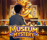 Museum Mystery